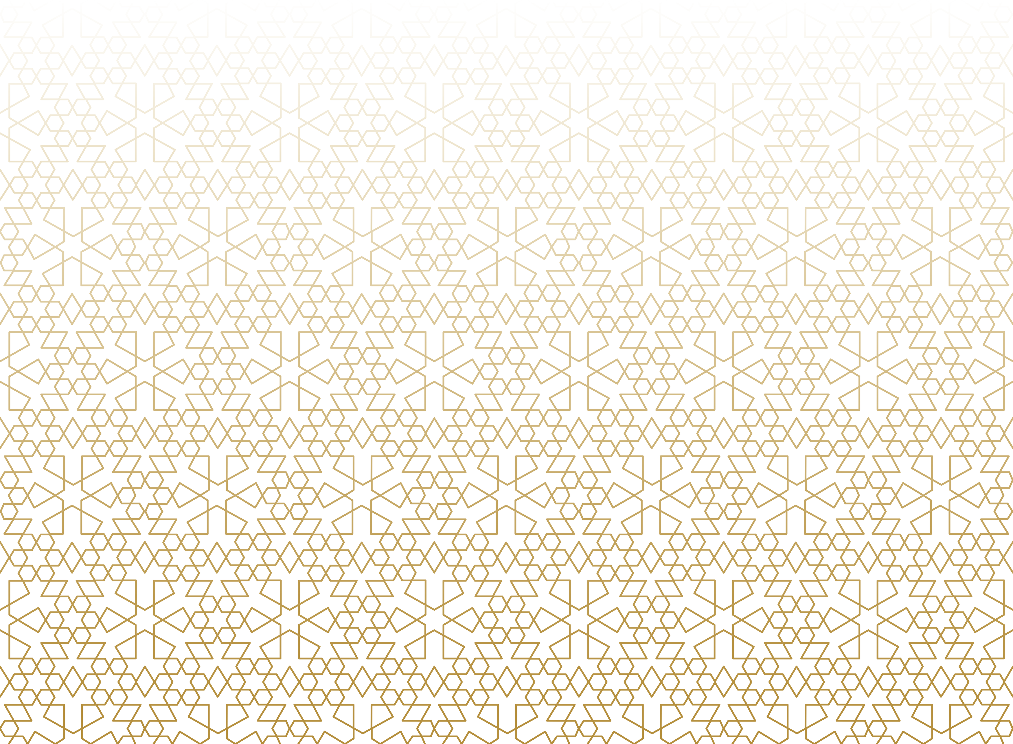 Islamic Pattern Ornament